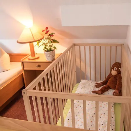 Landhotel & Reiterhof Schumann 3* Triptis