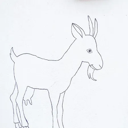 Landhotel & Reiterhof Schumann Hotel