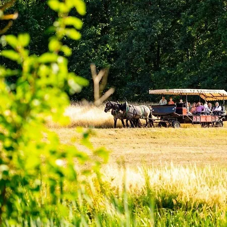 Szálloda & Reiterhof Schumann