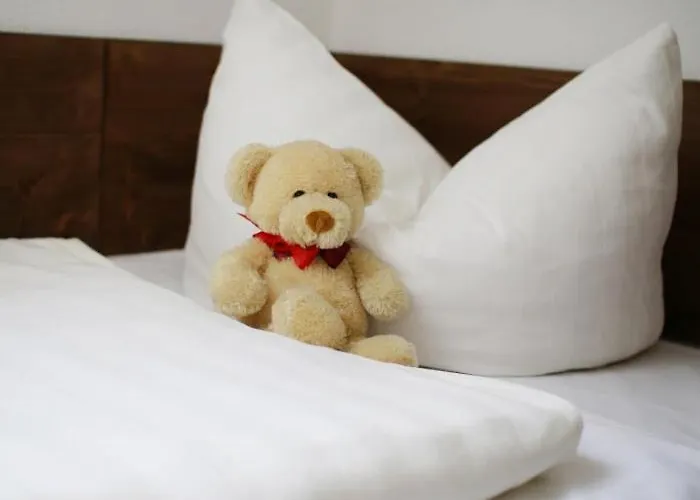 Otel & Reiterhof Schumann 3*