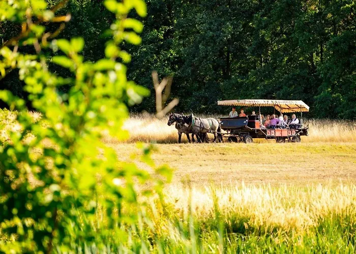 Otel & Reiterhof Schumann